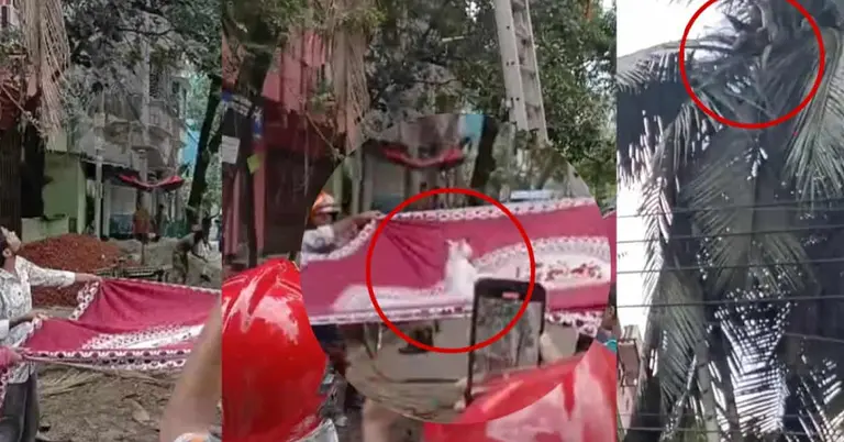 ফায়ার সার্ভিসের সহায়তায় উদ্ধার করার সময়